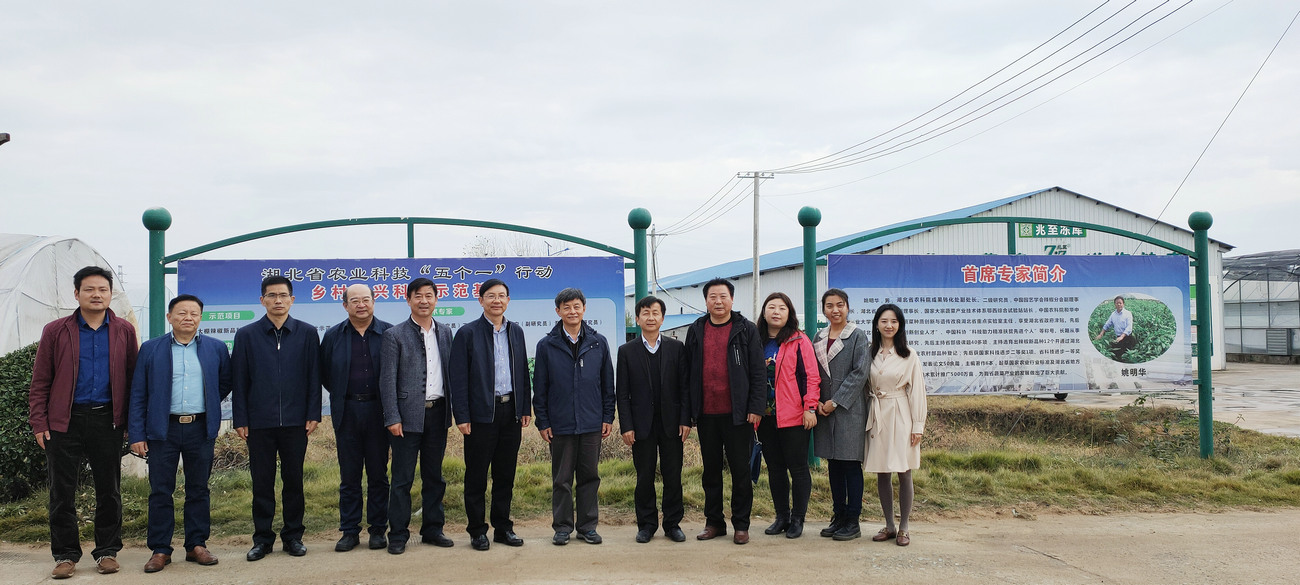 中國蔬菜協會會長楊雄年來公司基地視察指導工作