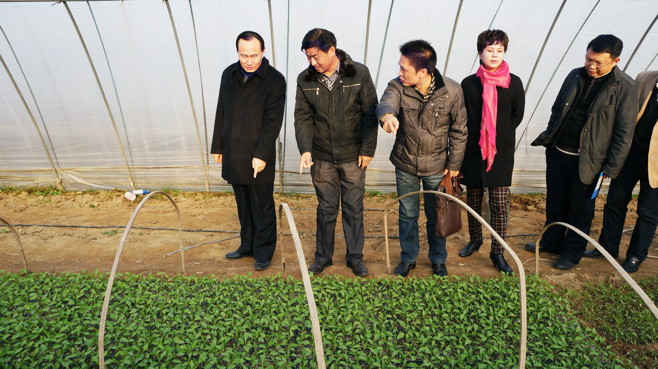 湖北省人大常委、省人大教育科學文化衛生委員會副主任委員、湖北省科學技術廳一級巡視員劉望清來公司基地視察指導工作